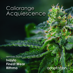 Caliorange – Acquiescence